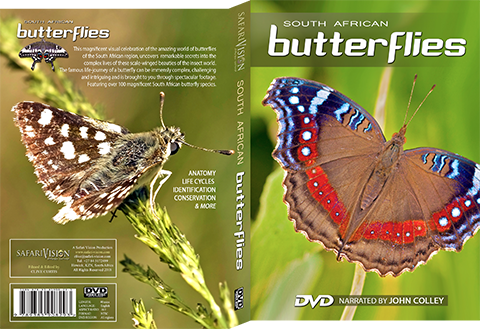 Butterfly DVD South African Butterflies Film